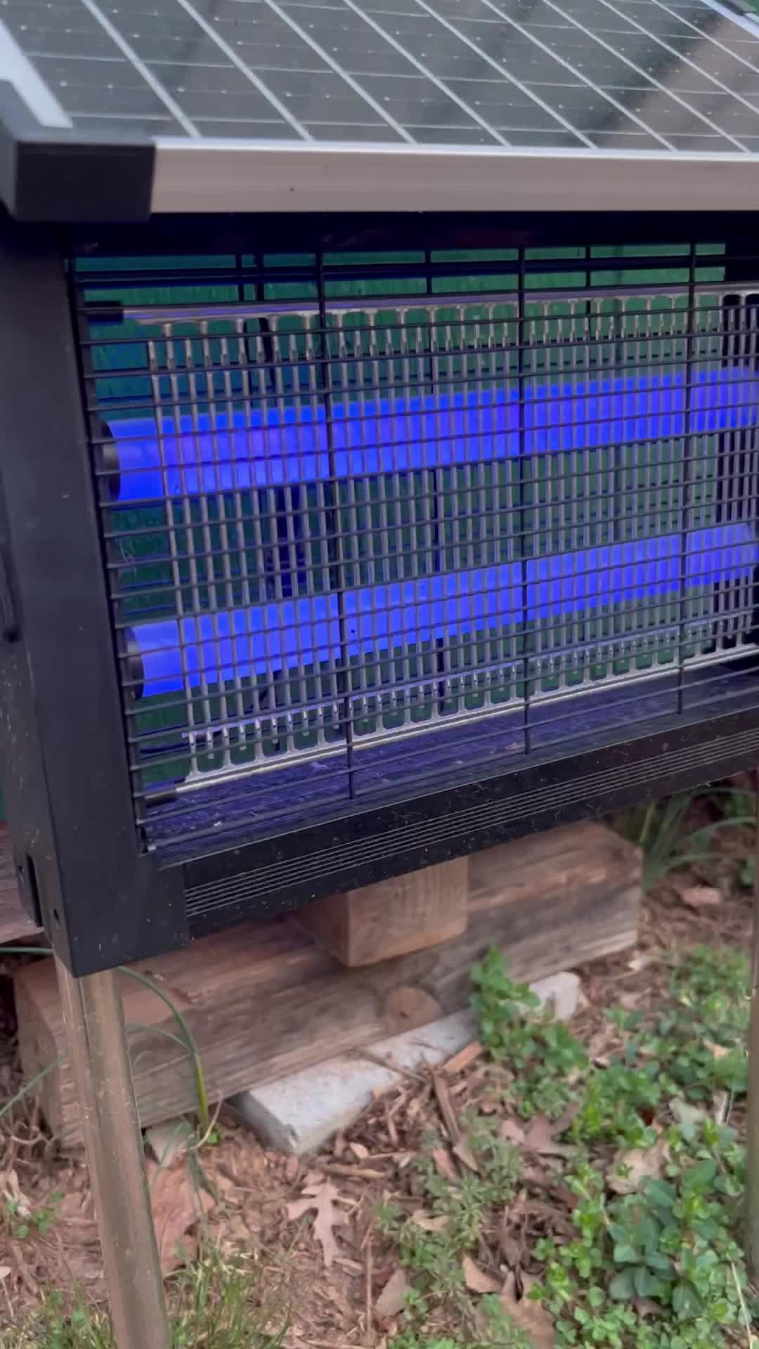 Vyelix UV tubes glowing blue inside the safety cage
