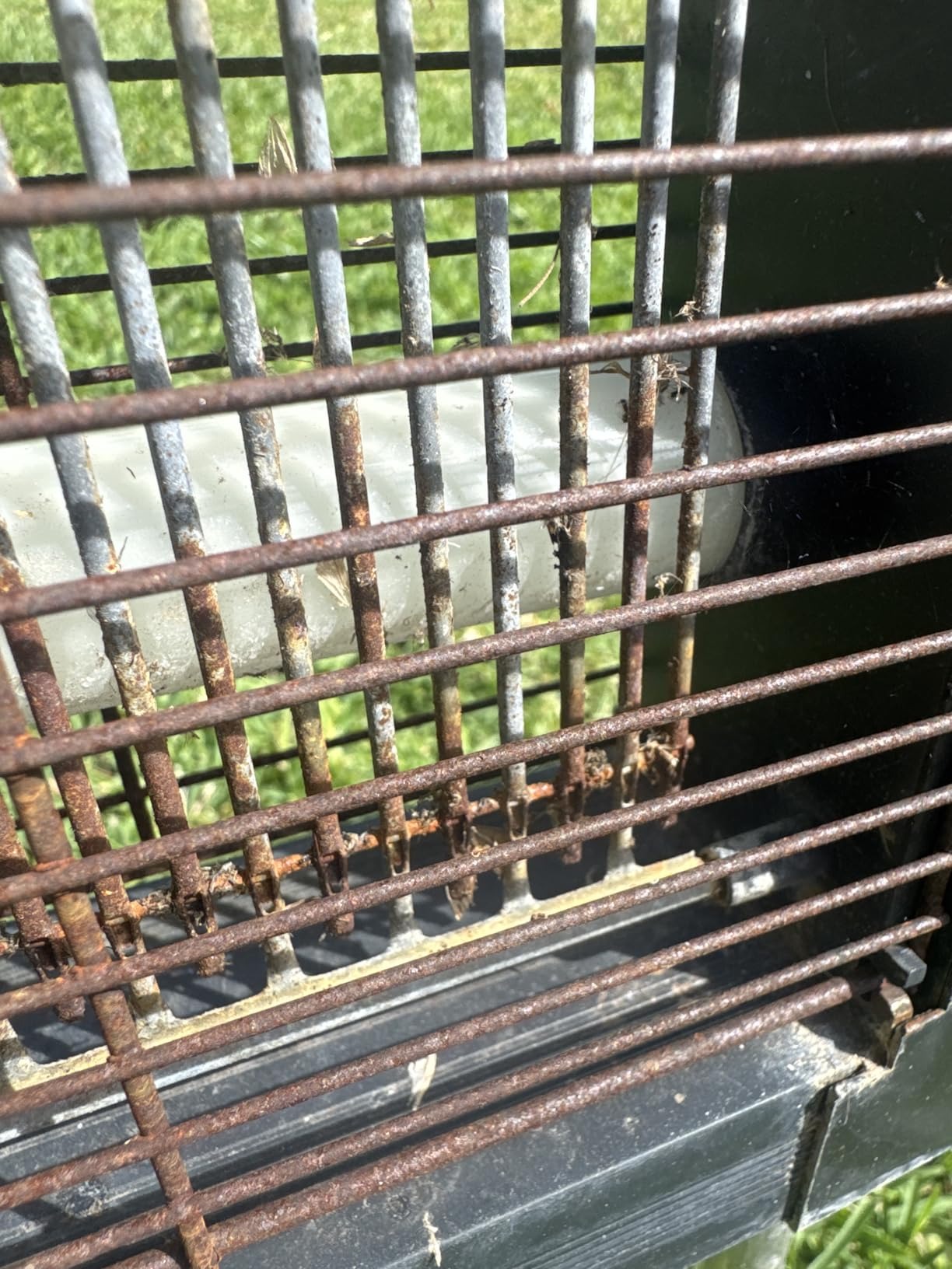 Rusted cheap bug zapper grid after one season